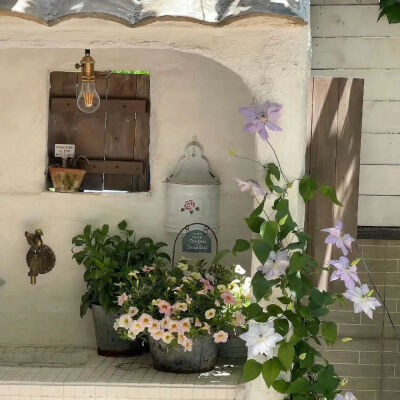 背景图