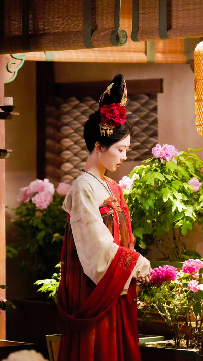 锦绣芳华