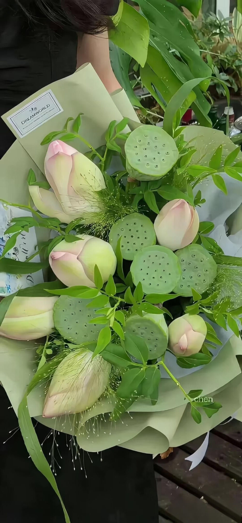手机壁纸