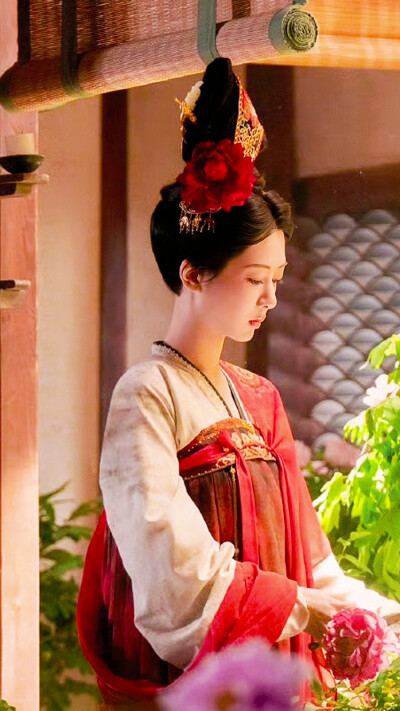 锦绣芳华