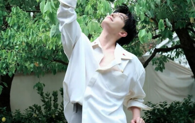 杨洋