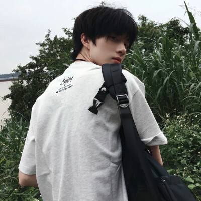 杨梅