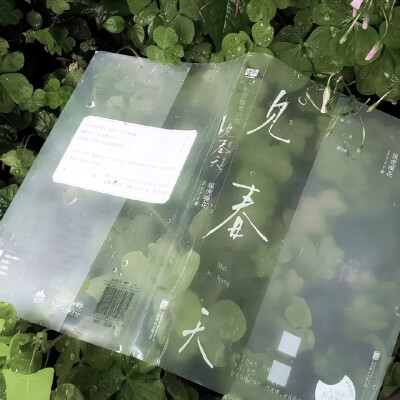 见春天
