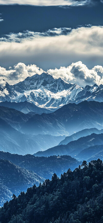 风景