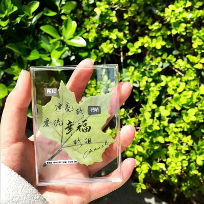 绿色背景图