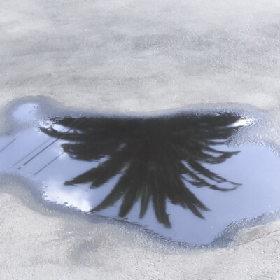 我可是白济娜啊