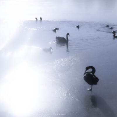 我可是白济娜啊