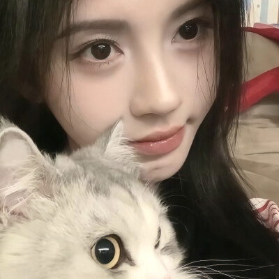 这里有两只小猫