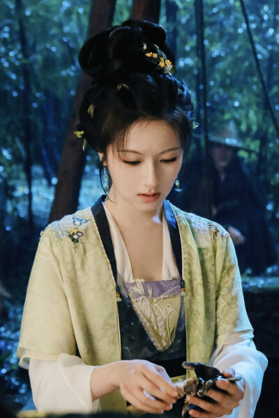 朝雪录 秦莞