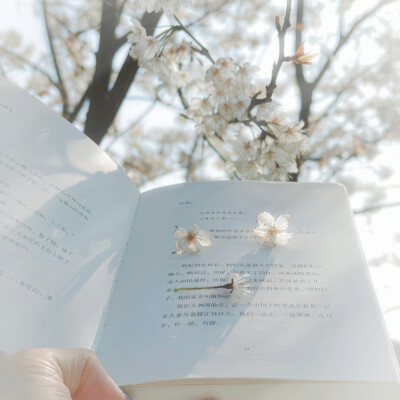 李知恩