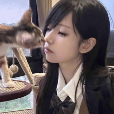 dt林宇婧