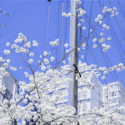 
夏天
