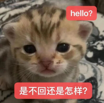 表情包