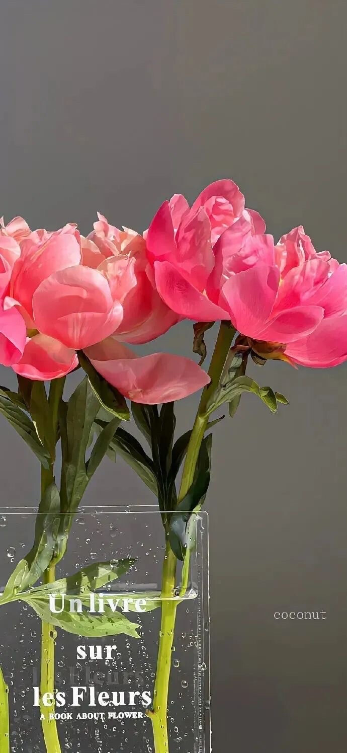 壁纸高清壁纸全屏壁纸iPhone壁纸