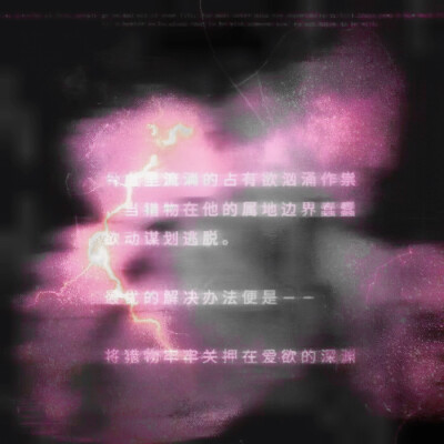 从哪里借来的猫