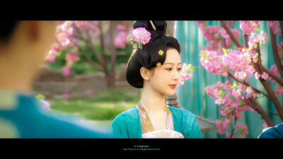 锦绣芳华 *