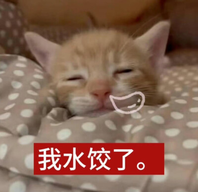 小茂密
图源网络各处