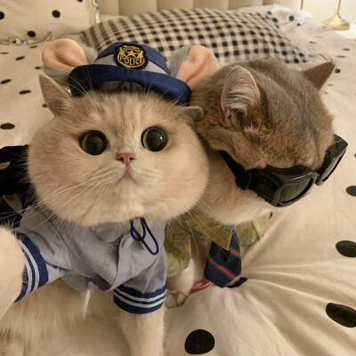 可爱情头
