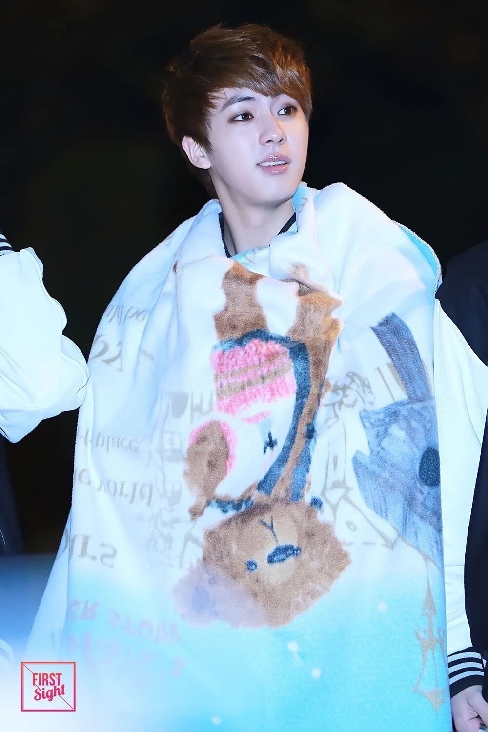 131117防弹mini fanmeeting