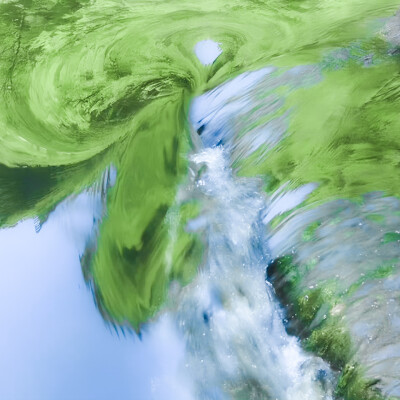 何妨从夏到秋 慢慢抱紧