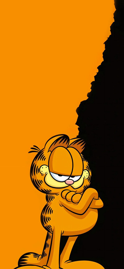 加菲猫