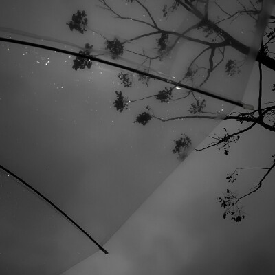 janara、梦到我的感觉怎么样？