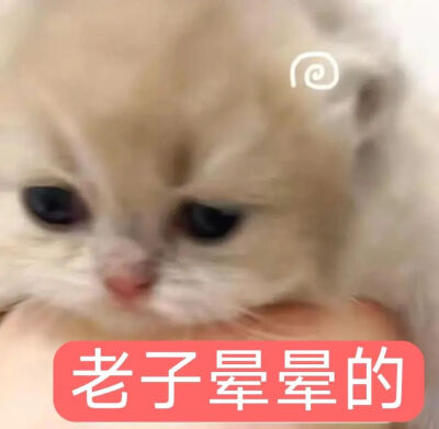 表情包