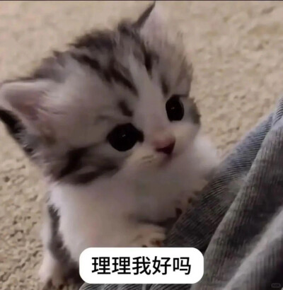 小茂密
图源网络各处