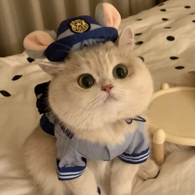 可爱情头