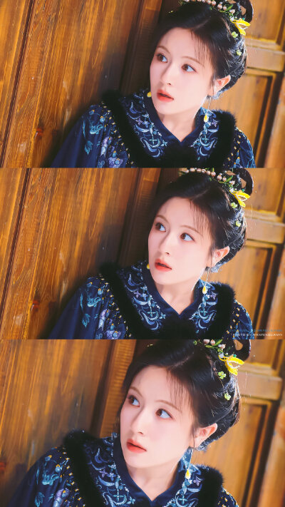李兰迪·秦莞 朝雪录
