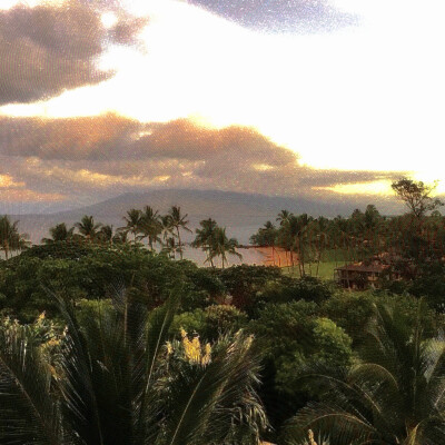 ： 好像一場蓄謀已久的雨淅淅瀝瀝下在我心裡，讓我的愛又一次像雨水溢出
