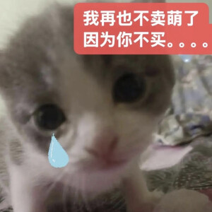 小茂密
图源网络各处