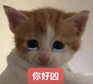 小茂密
图源网络各处