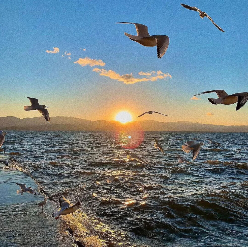背景