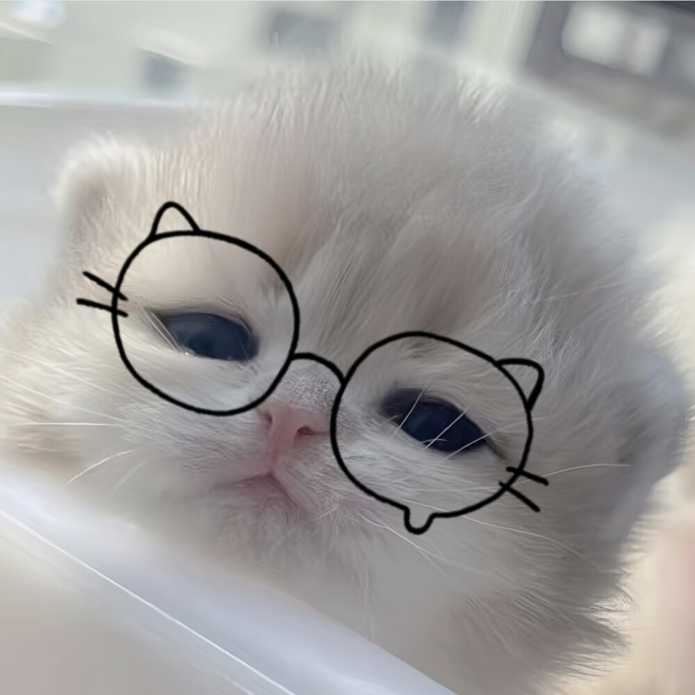 喵