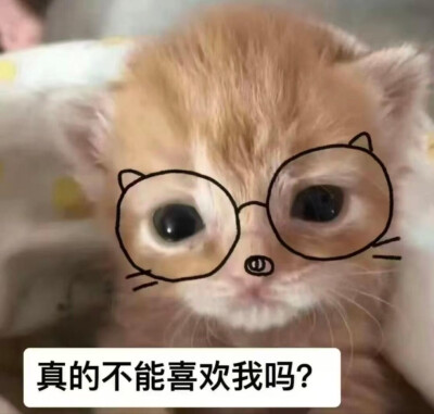 小茂密
图源网络各处