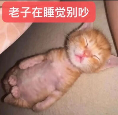 表情包