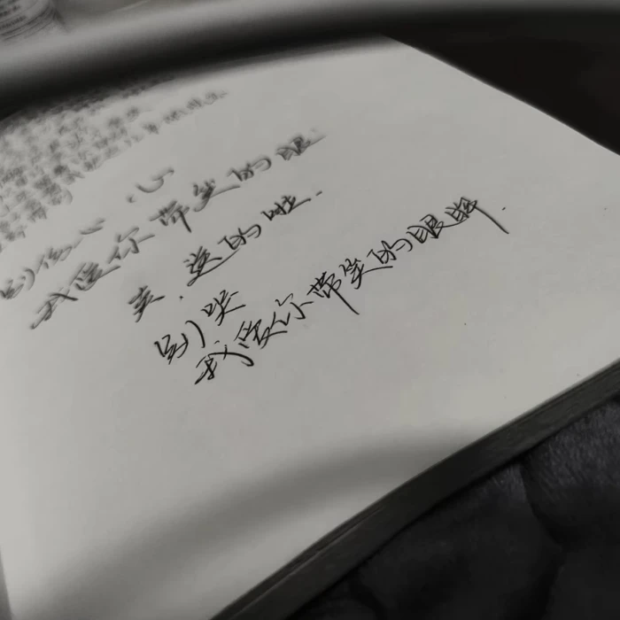 宁艺卓套图可二改
^注