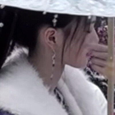 暗香盈袖