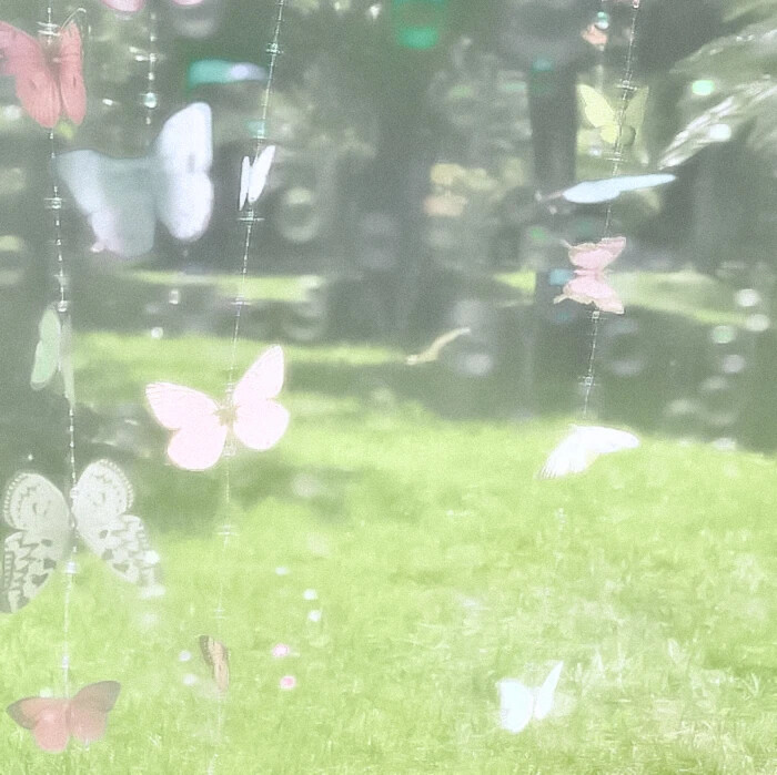 树下 我是我的春天