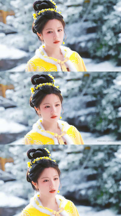 李兰迪·秦莞 朝雪录