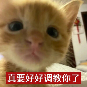 小茂密
图源网络各处