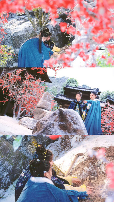 朝雪录·秦莞 岳凝·李兰迪 沈羽洁