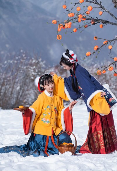 更剪素衣成鹤氅，王恭定向雪中来