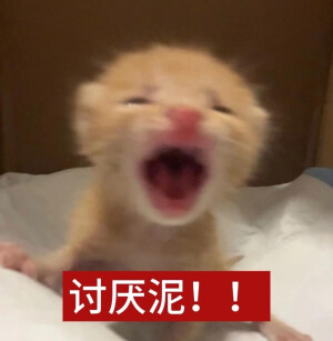 小茂密
图源网络各处