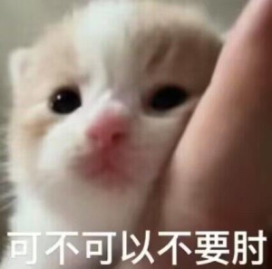 小茂密
图源网络各处