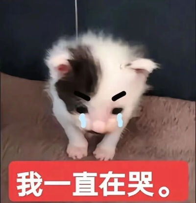 表情包
