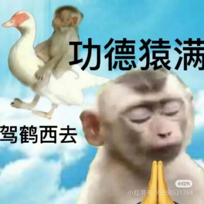表情包