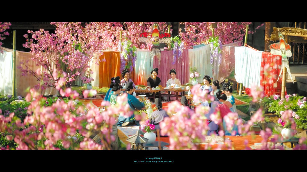 锦绣芳华 *