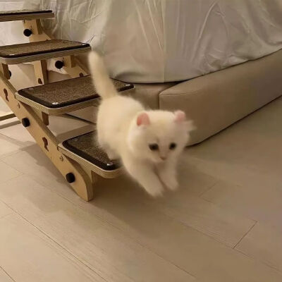 背景图